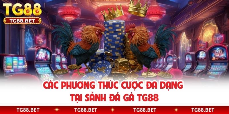 Các phương thức cược đa dạng tại sảnh đá gà TG88