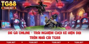 Đá Gà Online - Trải Nghiệm Chọi Kê Hiện Đại Trên Nhà Cái TG88