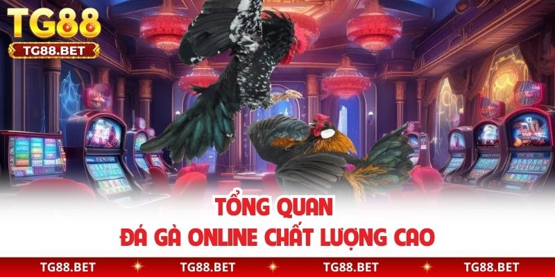 Tổng quan đá gà online chất lượng cao